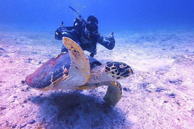 Open Water Certification Course-PADI - Equipment and logistics that affect comfort (and confidence)