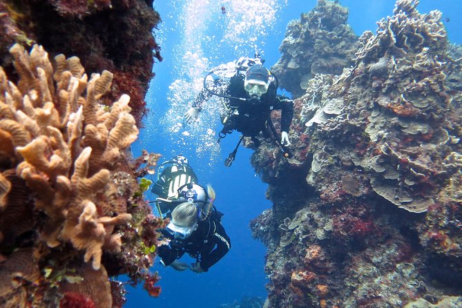 Open Water Diver course PADI in Cancun - Pool sessions: learning control before you go out