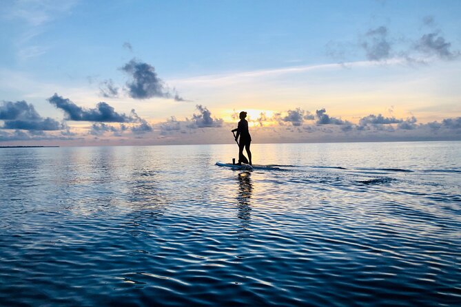 Paddle Board at Sunrise or Sunset in Cancun - Beginner-Friendly Coaching: What You Should Expect to Learn