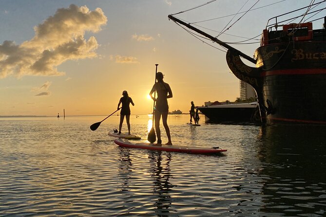 Paddle Board at Sunrise or Sunset in Cancun - Wildlife and Nature Moments: Mangroves, Fish, and Birds