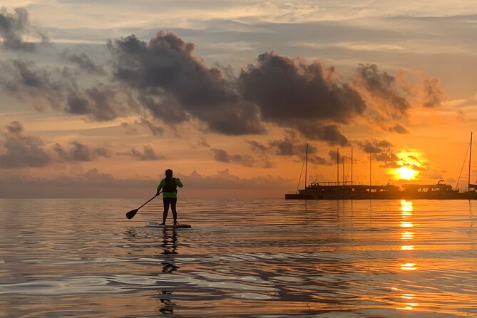Paddle Board at Sunrise or Sunset in Cancun - Who Should Book This SUP Trip (and Who Might Skip It)