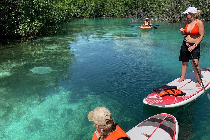 Paddleboard Kayak Tour in Cancun - Why Laguna Nichupté is the Perfect Place for SUP or Kayak