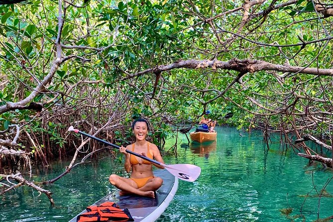 Paddleboard Kayak Tour in Cancun - SUP vs Kayak in Cancun: Picking the Right Paddle for Your Body