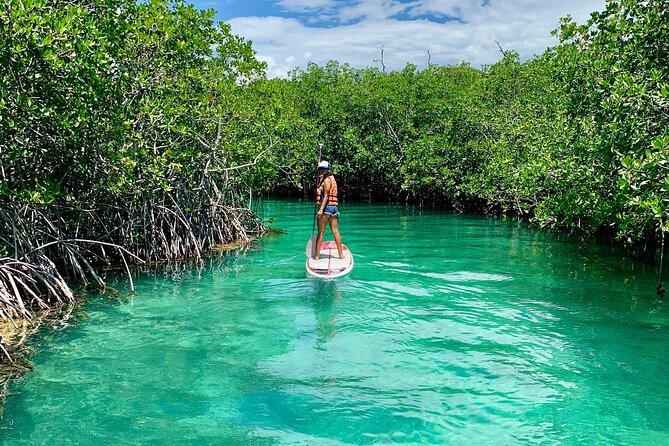 Paddleboard Kayak Tour in Cancun - Small-Group Pacing: Why Capped at 12 People Feels Better