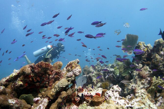 PADI Open Water Diver Course - What can throw a wrench in your plan (and how to handle it)