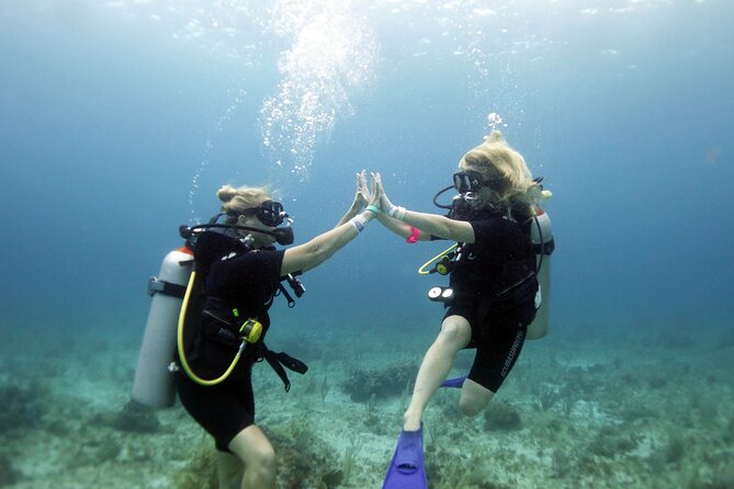 PADI Open Water Diver Course - Learning the skills: PADI eLearning plus real instructor coaching