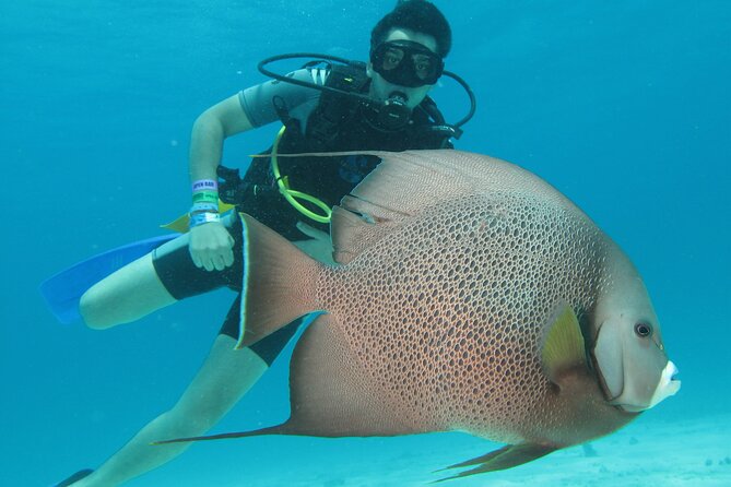 PADI Open Water Diving Certification Course Activity - Key highlights worth planning for