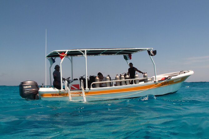 PADI Open Water Diving Certification Course Activity - Small-group coaching at Coconut Divers (max 4)