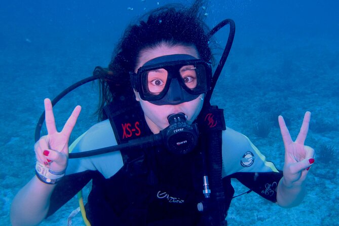 PADI Open Water Diving Certification Course Activity - Price and value: what $559 covers (and what to budget)