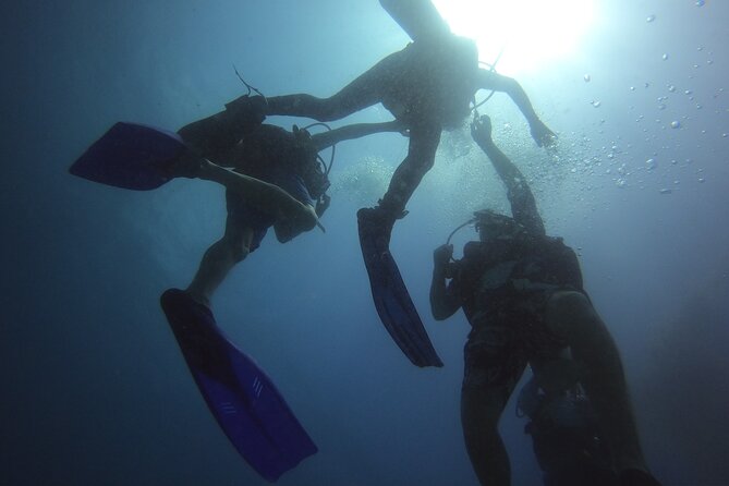 PADI Open Water Diving Certification Course Activity - Entering the course flow: theory, pool skills, then sea time