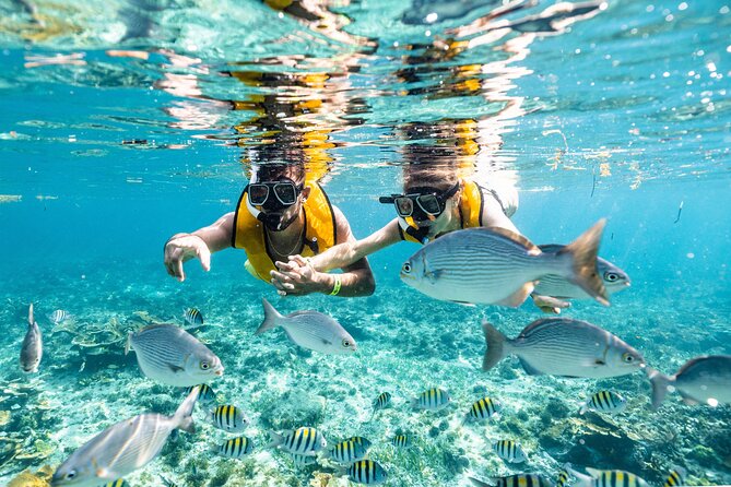 Parasailingcancun and Jet Ski tour over Cancun Bay - Who this tour is best for (and who should look elsewhere)