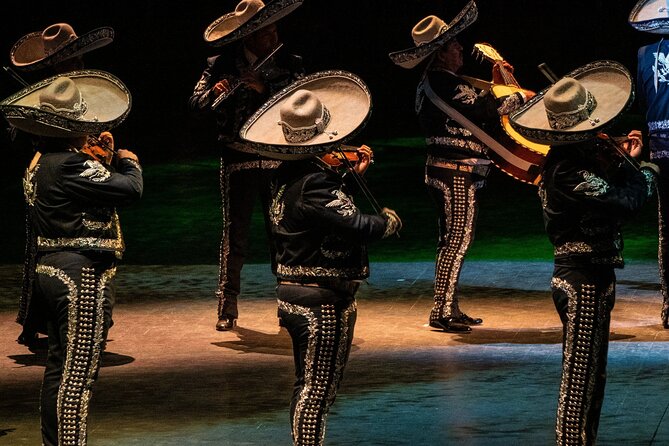 Park Xcaret Plus with Transportation from Cancun and Riviera Maya - Getting to Xcaret: the 7:00 am pickup rhythm