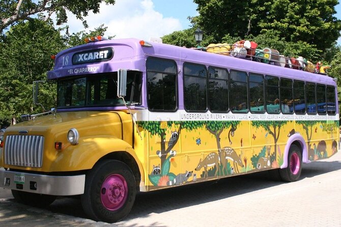 Park Xcaret Plus with Transportation from Cancun and Riviera Maya - Transportation and English support: what it feels like day-of