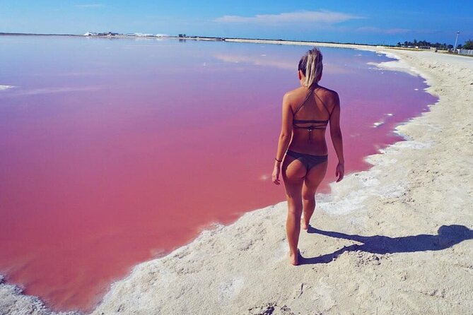 Pink Lake and Flamingo Sightseeing in Rio Lagartos - Guides, group size, and what to expect from the vibe