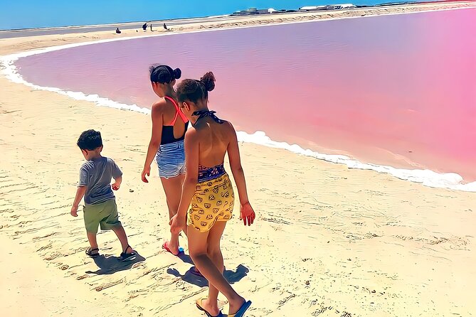 Pinktastic Lagoon Adventure Las Coloradas & Rio Lagartos from Cancun - Meals that actually keep you going all day