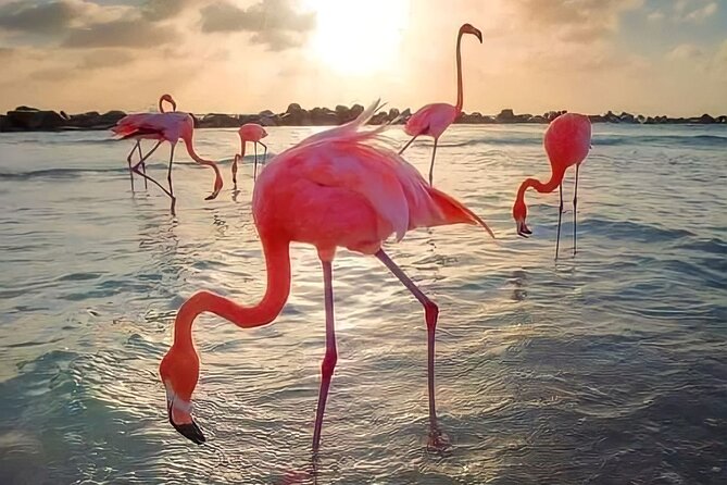 Pinktastic Lagoon Adventure Las Coloradas & Rio Lagartos from Cancun - Getting there: The 6:30am start and pickup realities