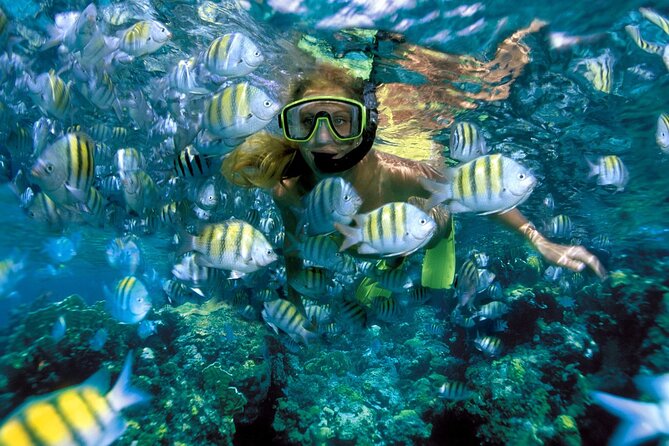 Plus Full Day Catamaran Tour to Isla Mujeres All Inclusive - Entering the Day: Pickup, Meeting Point, and Timing