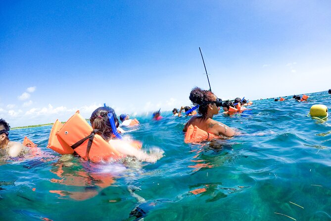 Private Catamaran Experience from Cancun to Isla Mujeres! - El Meco Reef snorkeling: rules, timing, and what’s realistic