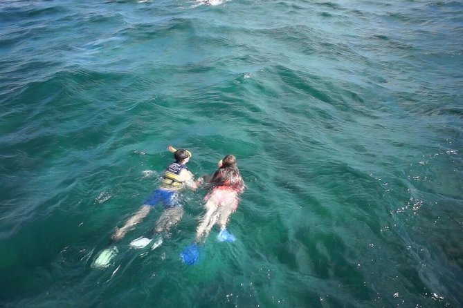 Private Catamaran Experience from Cancun to Isla Mujeres! - Meet Rene and the crew vibe on board