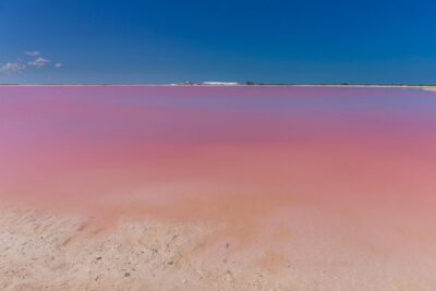 Private Chichen Itza, Cenote Ik Kil, Rio Lagartos & Las Coloradas - The 6:30 am pickup and the road you’ll actually be on