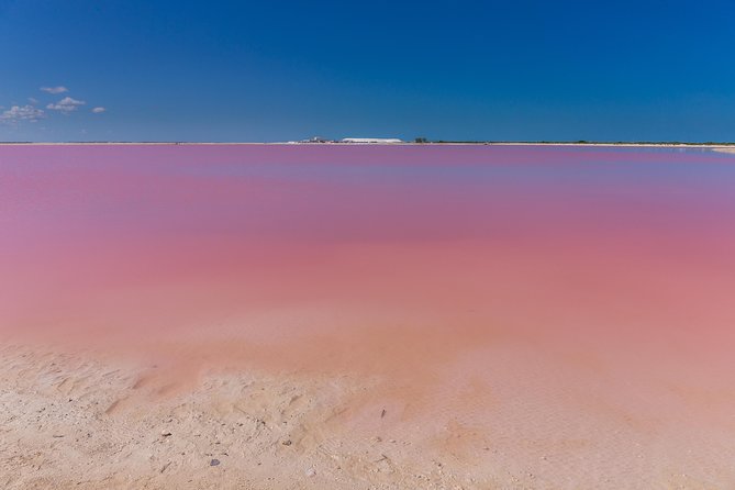 Private Chichen Itza, Cenote Ik Kil, Rio Lagartos & Las Coloradas - The 6:30 am pickup and the road you’ll actually be on