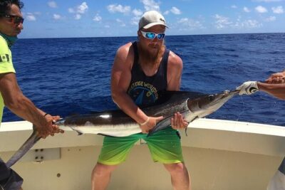 Private Half-Day Sport Fishing Charter in Cancun - How the crew finds the fish (and why the first hours matter)