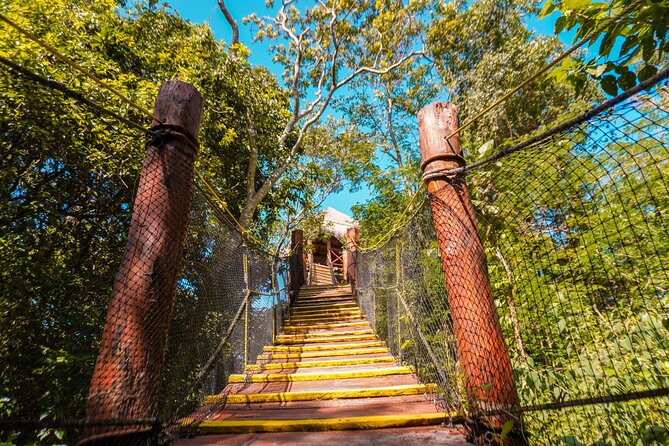 Private Jungle Adventure tour: Zipline + Rappel + Cenote - Ziplining Through the Jungle Canopy: Views and Safety Together