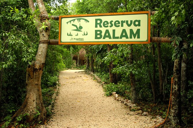 Private Jungle Adventure tour: Zipline + Rappel + Cenote - What You Actually Get for $295: Value That Adds Up
