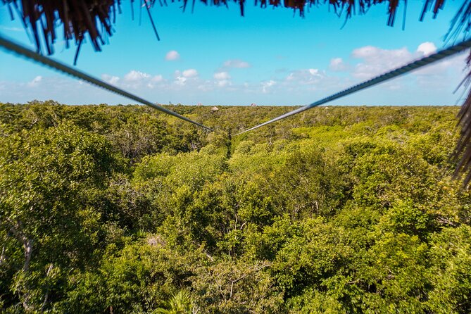 Private Jungle Adventure tour: Zipline + Rappel + Cenote - Safety, Fitness, and Weather: Know the Rules Before You Go