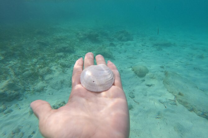 Private MUSA Snorkeling Experience at Isla Mujeres and Cancun - Price and Value: When $550 for Up to 12 Works