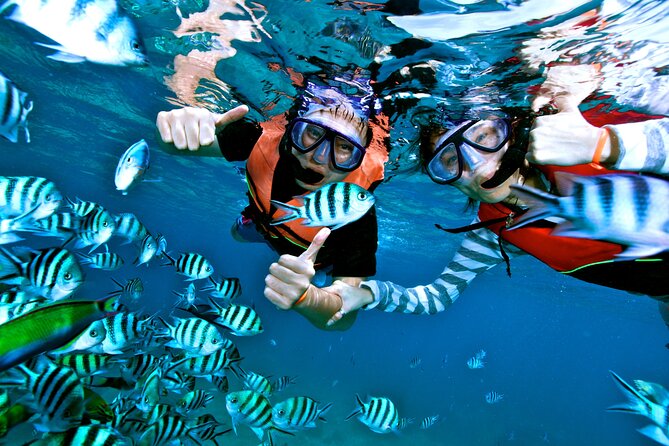 Private MUSA Snorkeling Experience at Isla Mujeres and Cancun - Who This Tour Fits Best (and Who Might Want Another Option)
