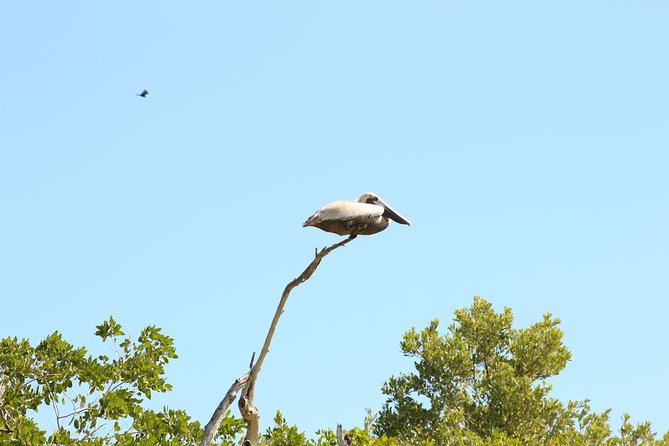 Private Rio Lagartos Flamingo and pink lakes - What’s Included vs. What You’ll Need to Bring