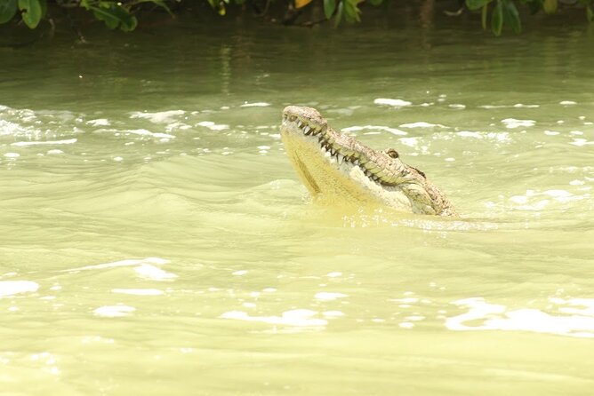 Private Rio Lagartos Flamingo and pink lakes - Who This Tour Fits Best (and Who Might Want a Different Option)
