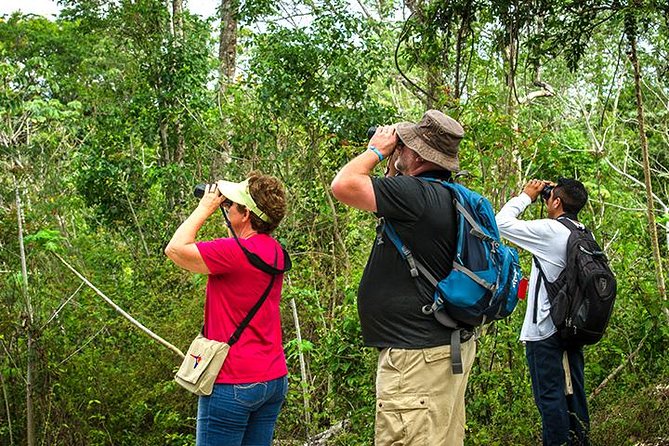 Private Tour: Birdwatching from Cancun - Meet Your Bird Guide: Finding Birds by Sight and Sound