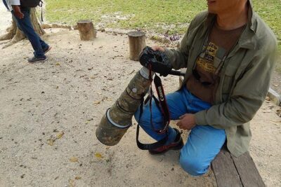 Private Tour: Birdwatching from Cancun - The Pickup-to-First-Stop Plan: Why Puerto Morelos Matters