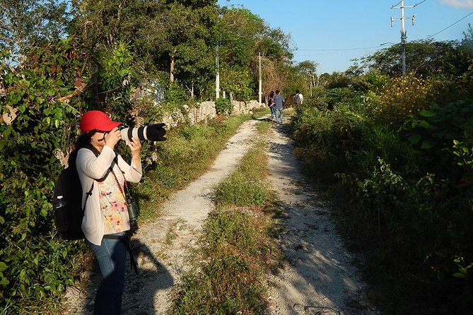 Private Tour: Birdwatching from Cancun - Price and Value for a Private Group in Cancun