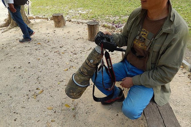 Private Tour: Birdwatching from Cancun - The Pickup-to-First-Stop Plan: Why Puerto Morelos Matters