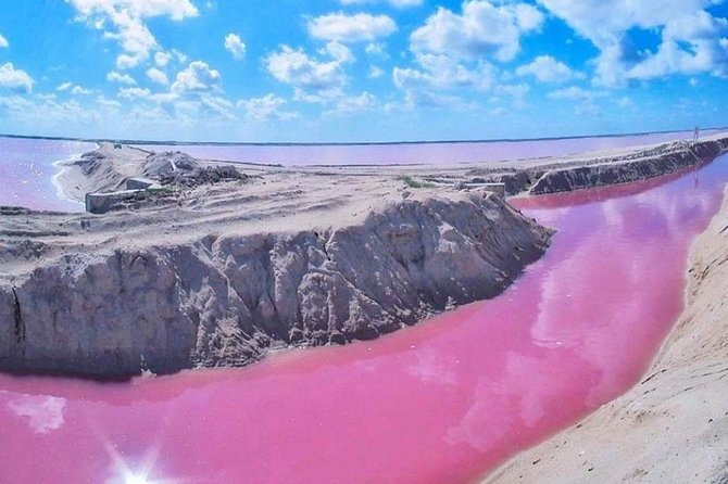 Private Tour: Ek Balam, Pink Flamingos Sanctuary and Tequila Tasting Factory - Private Yucatan Day From Cancun: What You’re Really Buying