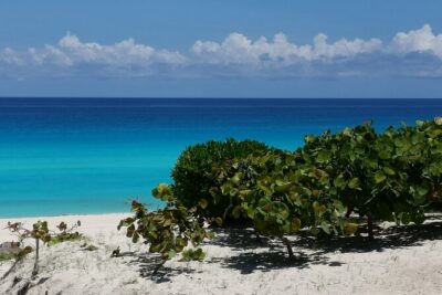 Private Transfer-Cancun Airport-Playa del Carmen One Way - From the Terminal to Playa: What the Ride Actually Looks Like