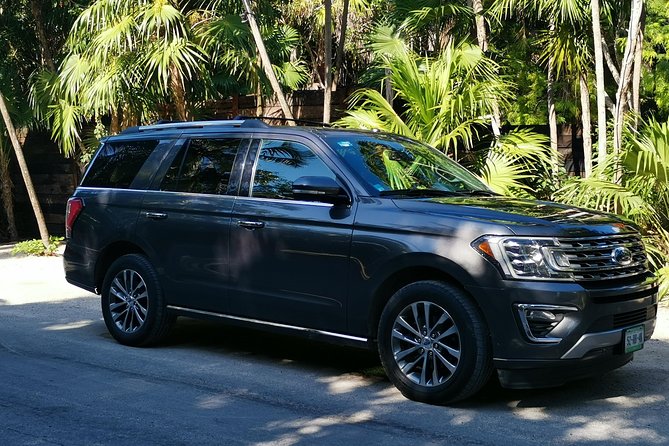 Private Transportation Deluxe Van - Private Deluxe Van: What the 45 Minutes to 2 Hours Actually Means