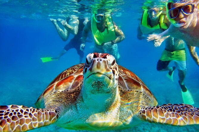 Private Tulum Mayan Ruins & Swimming with Turtles Experience - What’s included at each stop (and what you’ll need to handle yourself)