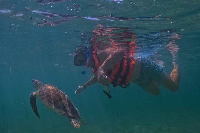 Private VW Beetle Tour Swim with Turtles, Visit Tulum Ruins&Town - 5 Key Things That Make This Cancun-to-Tulum Day Work