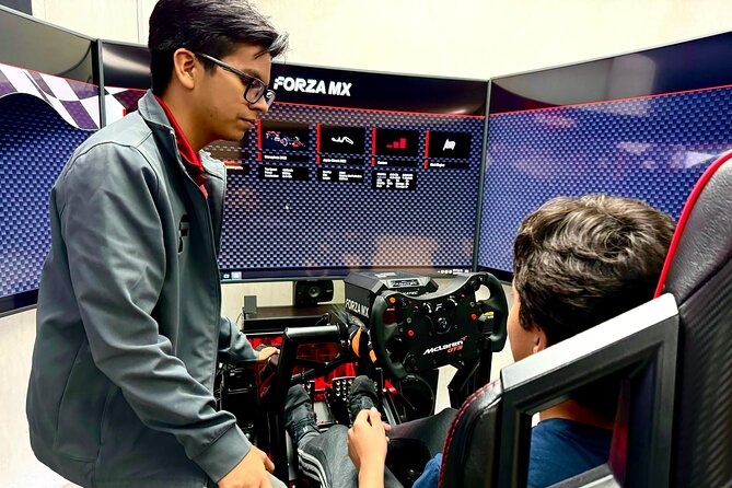 Professional racing simulator - Track and Car Choices: What You Can Pick