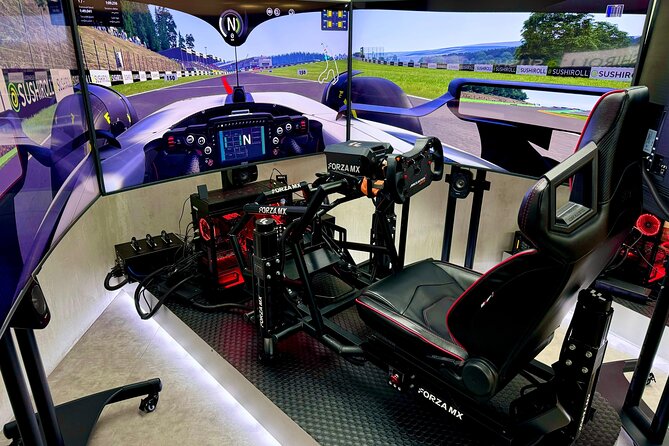 Professional racing simulator - Price and Value: What You’re Paying For
