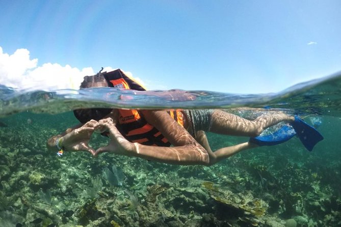 Puerto Morelos Reef Snorkeling Tour with Lunch - Snorkeling the Mesoamerican Barrier Reef: why the two stops matter
