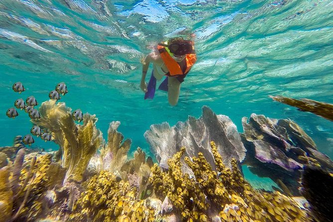 Puerto Morelos Reef Snorkeling Tour with Lunch & Hotel Pickup - Time on the water vs. time on the van: does it run 4 hours?