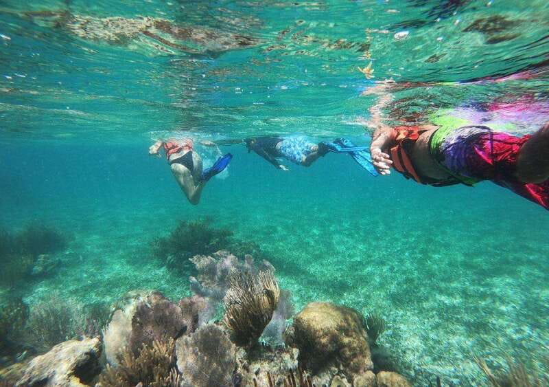Puerto Morelos: Snorkel in Coral Reef with transportation - Key highlights worth planning around