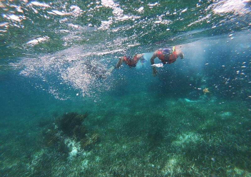 Puerto Morelos: Snorkel in Coral Reef with transportation - How Guided, Lined Snorkeling Changes the Experience