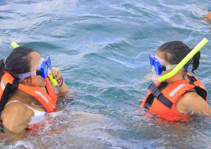 Puerto Morelos: Snorkel in Coral Reef with transportation - Price and Value: What $55 Covers (and What Costs Extra)