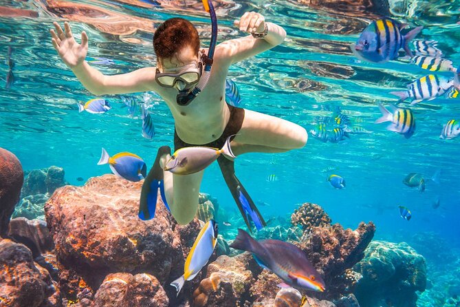 Puerto Morelos Snorkel, Town Walk, Tequila Tasting & Beach Lunch - On the Water: Gear, Life Vest Rules, and Phone-Free Snorkeling
